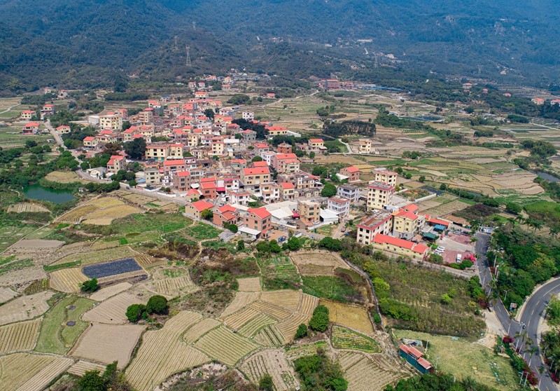 美麗鄉村，田頭村景觀（林志杰攝影）-3.jpg