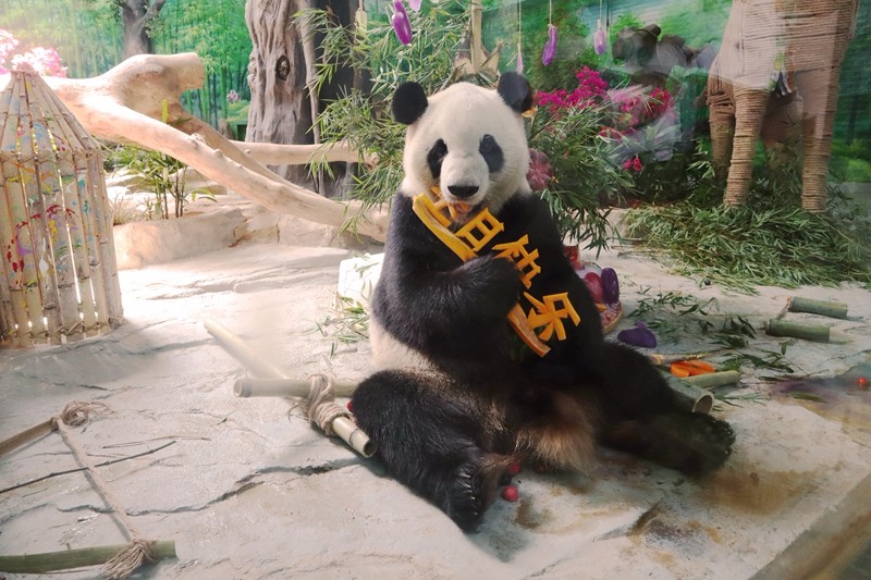 生日趴現(xiàn)場，“享受美食”.jpg