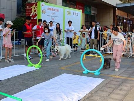 廈門翔安：掀起文明養犬熱潮 趣味活動傳遞“寵”愛之道